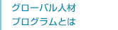 グローバル人材プログラムとは